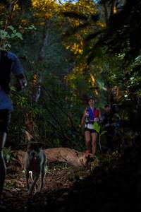 BIB: 
                            <button type="button" onclick="openModal(19232313)" class="btn btn-primary btn-sm float-right btn-popup" data-toggle="modal" data-target=".modal-high-quality">
                        <i class="fas fa-shopping-cart"></i> Add to Cart
                    </button>
                                            <button type="button" onclick="isThisMe(19232313, true)" class="btn btn-success btn-sm float-right btn-popup btn-isme hidden" data-toggle="tooltip" data-placement="bottom" title="นี่คือรูปของคุณใช่ไหม คลิกที่นี่เพื่อเอาเข้าอัลบั้ม">
                        <i class="fas fa-plus"></i> Add to album
                    </button>
                    <button type="button" onclick="isThisMe(19232313, false)" class="btn btn-warning btn-sm float-right btn-popup btn-isnotme hidden">
                        <i class="fas fa-ban"></i> Remove from album
                    </button>